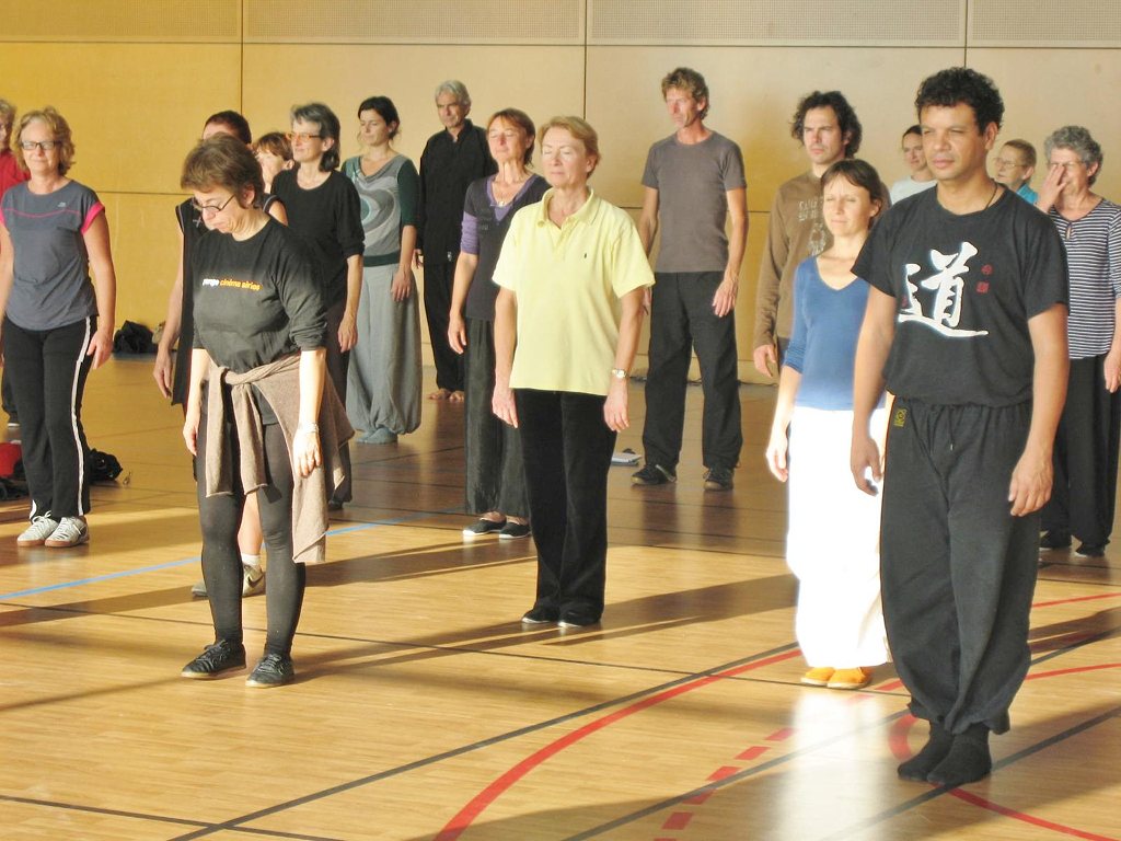 Ziran Qigong seminar Redon, Frankrijk - 2011