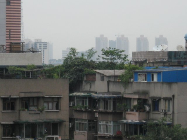 bomenophetdakterrasinchengdu.jpg