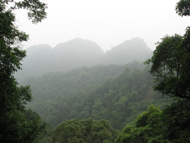 qcsnatuurschoon_4.jpg
