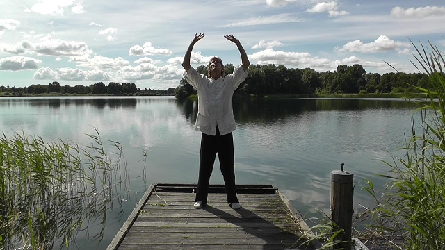 Pieter Gilles practicing Ziran Qigong