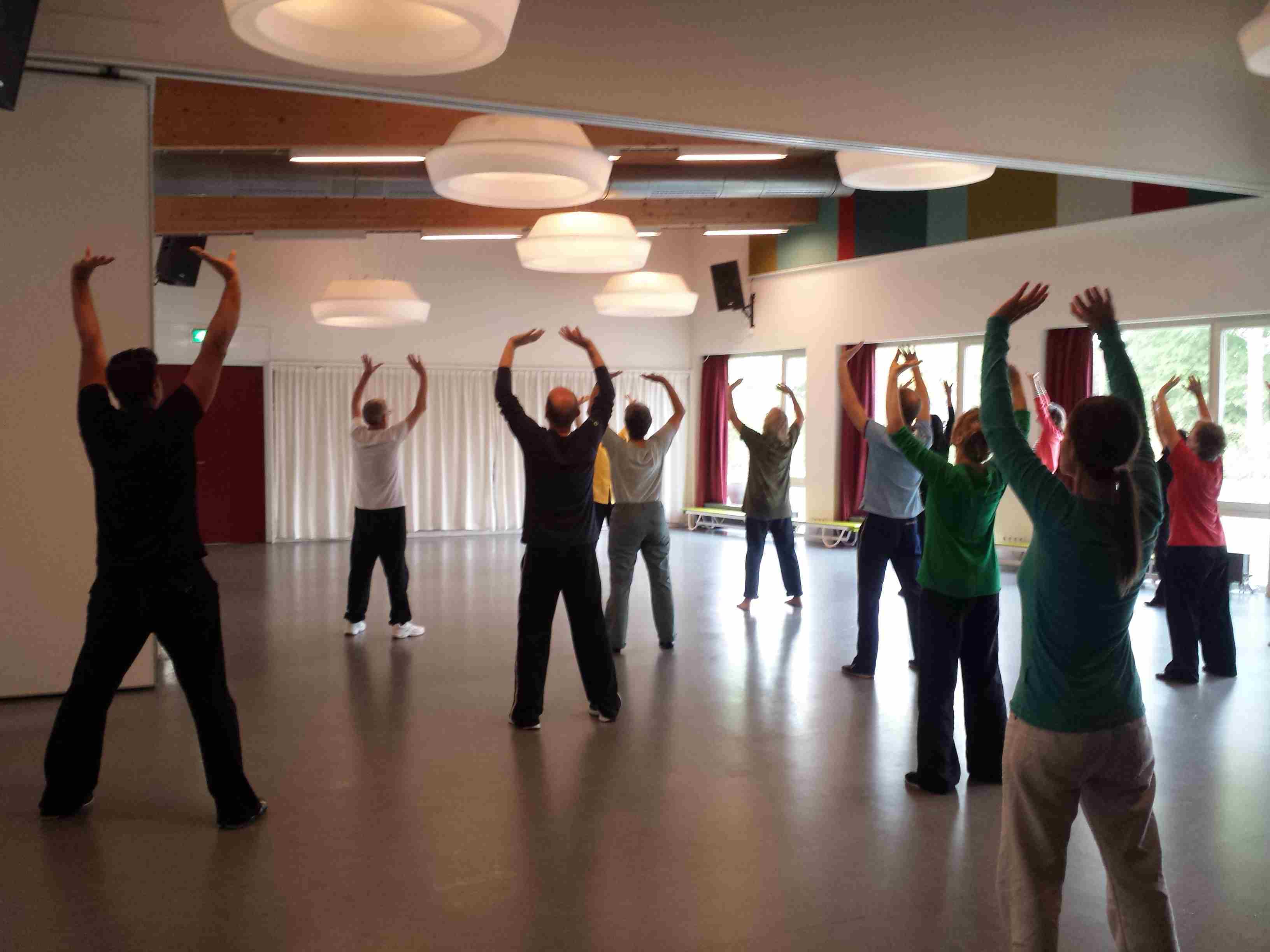 Ziran Qigong seminar Alkmaar - 2014