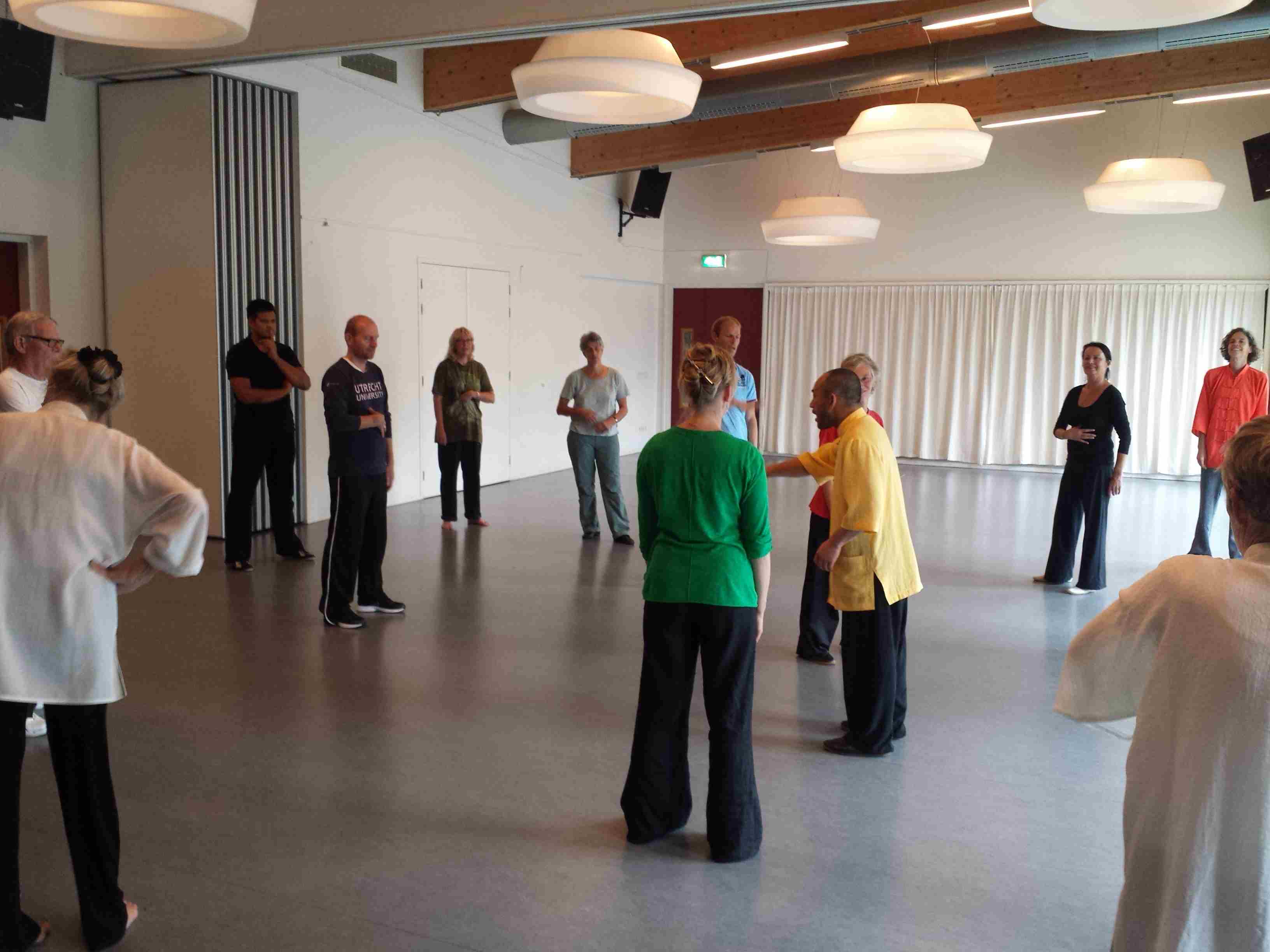 Ziran Qigong seminar Alkmaar - 2014