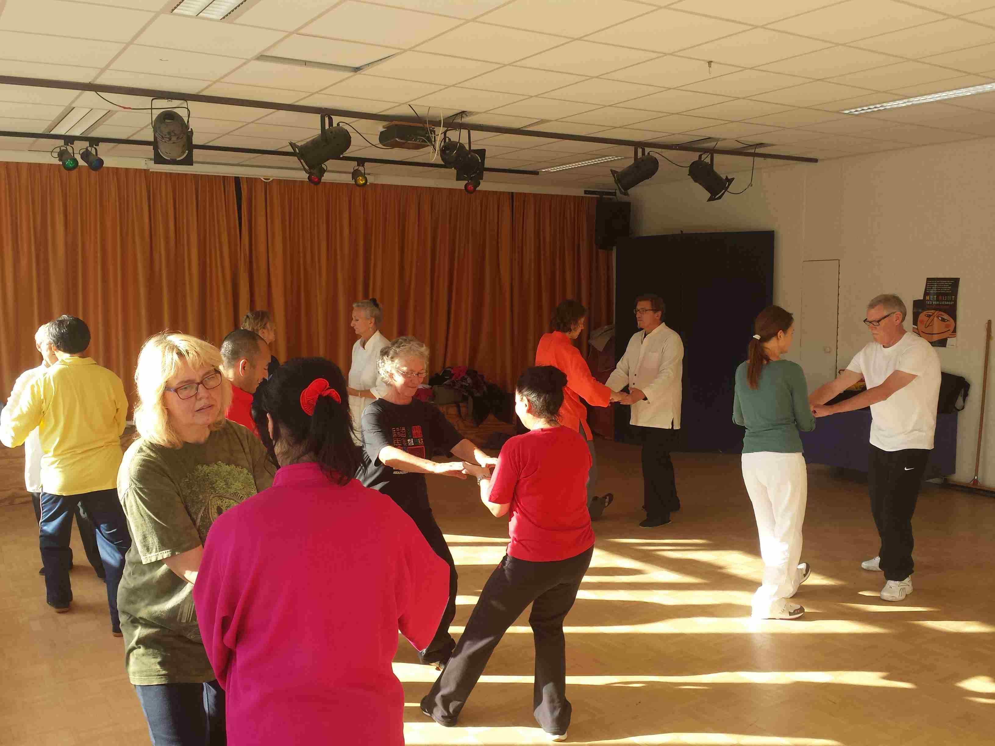 Ziran Qigong seminar Alkmaar - 2014