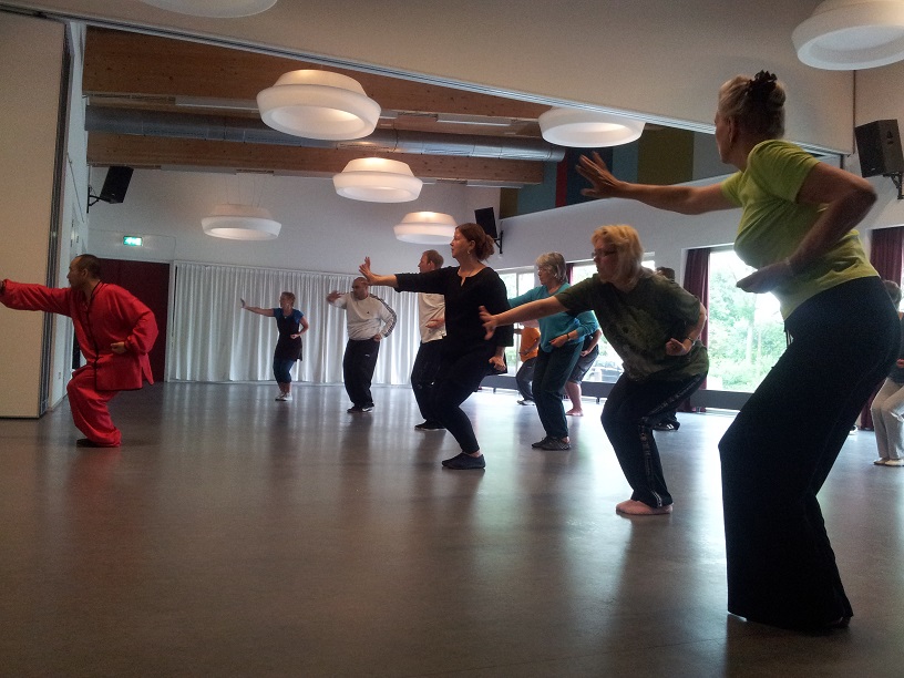 Ziran Qigong seminar Alkmaar - 2013