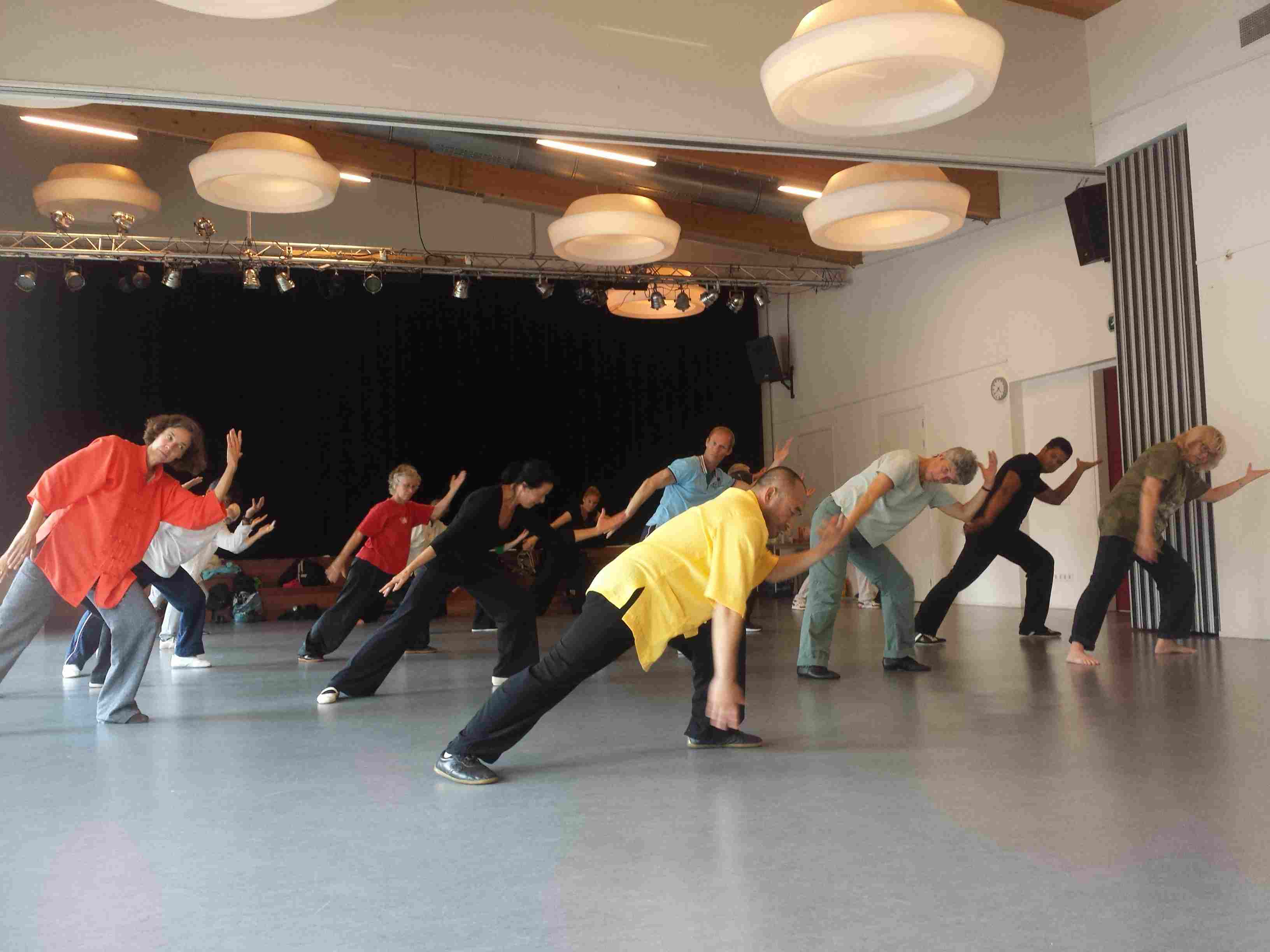 Ziran Qigong seminar Alkmaar - 2014