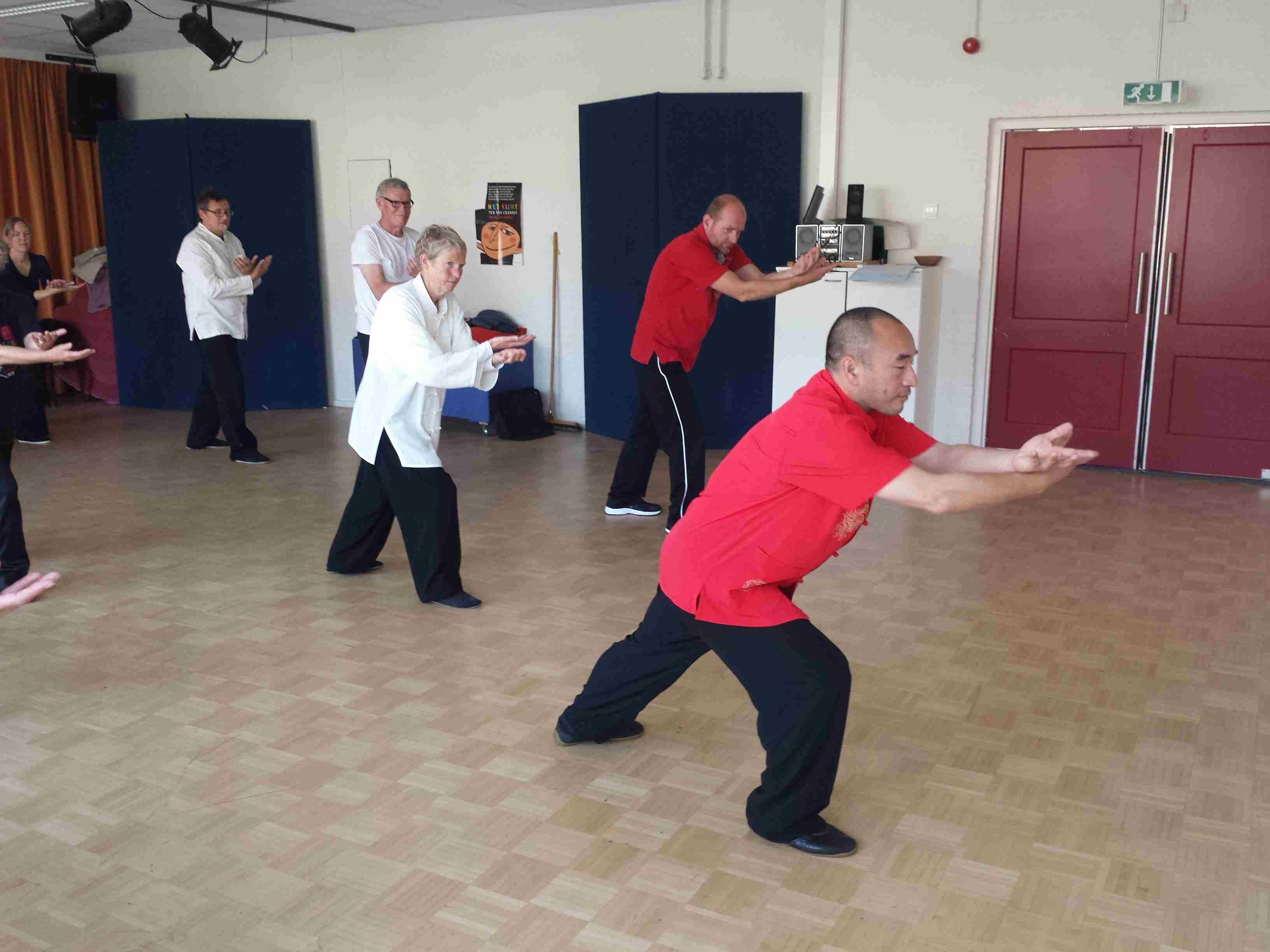 Ziran Qigong seminar Alkmaar - 2014