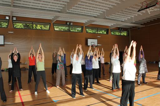 Ziran Qigong seminar Redon, Frankrijk - 2011