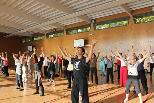 Ziran Qigong seminar Redon, Frankrijk - 2011